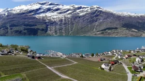 Utsikt over fruktgårder, bygder og fjord i Hardanger, med snødekte fjell i bakgrunnen.
