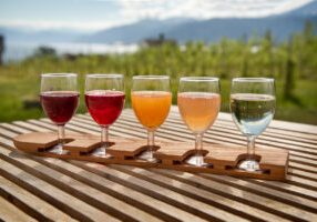 cider tasting foto David Zaid